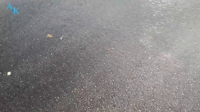 Хаста-Баш. Река. Алупка. Крым. ЮБК. 29.11.2023г. смотреть онлайн