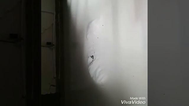 Натяжной потолок БЕТЛИ +79388010002 смотреть онлайн