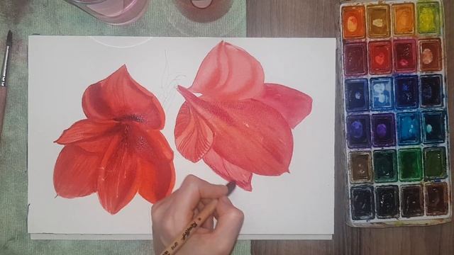 Watercolor Amaryllis tutorial| How to Paint Amaryllis| Как нарисовать амариллис акварелью смотреть онлайн