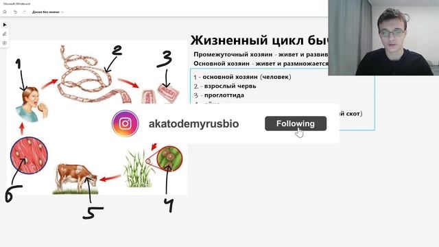 Жизненный цикл бычьего цепня | Самое простое объяснение ЕГЭ смотреть онлайн