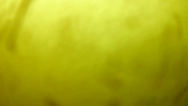 25.02.21 Нижняя Хортица (Соловьинка)!!! Рыбы валом!!! Но не клюет))) Подводная сьемка!!! смотреть онлайн