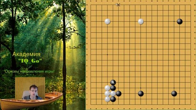 Разбор партии 5+- кю. "Основы направления игры" смотреть онлайн