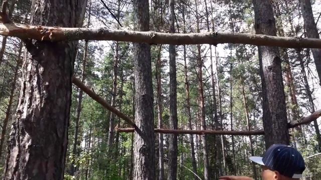 ДОМ НА ДЕРЕВЕ ИЗ ВЕТОК — DIY. ЧАСТЬ 1 смотреть онлайн