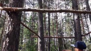 ДОМ НА ДЕРЕВЕ ИЗ ВЕТОК — DIY. ЧАСТЬ 1