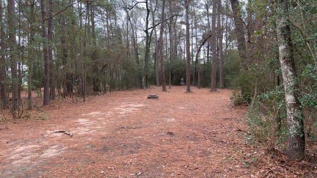 Фрисби гольф и встреча с оленями. смотреть онлайн