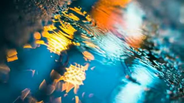 Картинки из интернета на рабочий стол смотреть онлайн