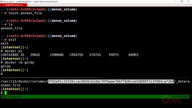 Making persistent volumes in Docker | Anonymous, Named, Host volume in Telugu смотреть онлайн