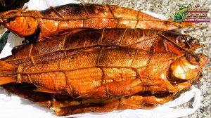 Горячее копчение рыбы, секреты, тонкости и нюансы для идеального результата, засолка и копчение СИГА