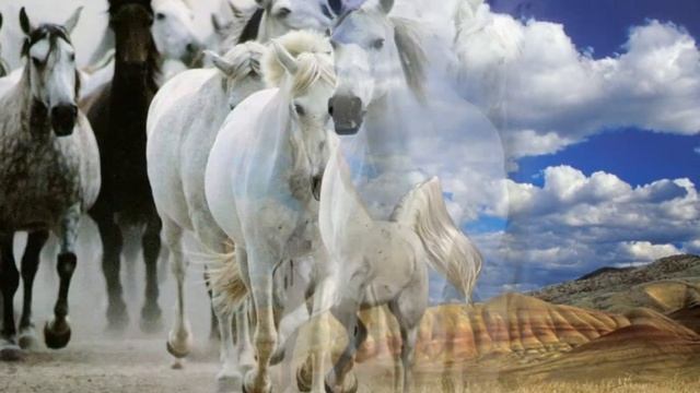 Устала душа.