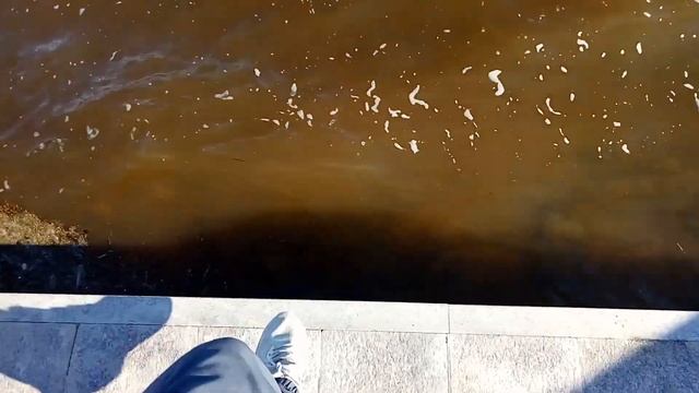 Комсомольск-на-Амуре. Большая прогулка по набережным Амура в последний день лета. КОМСОМОЛЬСК 2022 смотреть онлайн