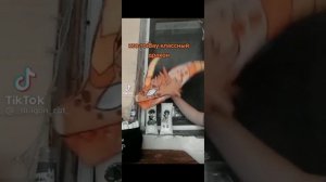 драконы из #тт # *не мои* #потпишись # драконы из бумаги своими руками из #тт #