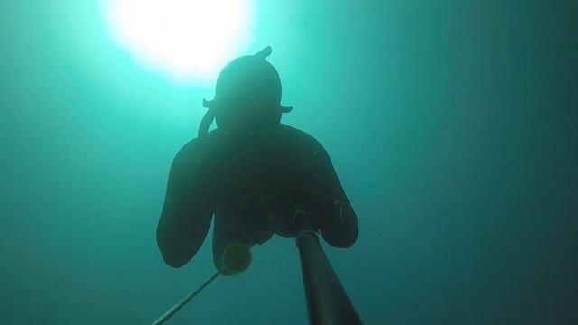 How to hold your breath for longer underwater | Freedive Training смотреть онлайн