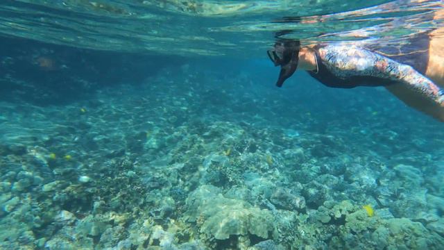 Top 10 THINGS TO DO ON THE BIG ISLAND OF HAWAII! (from a local resident) смотреть онлайн