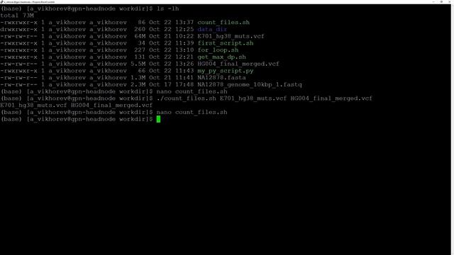 LINUX12. Как использовать условный оператор IF в скриптах bash смотреть онлайн