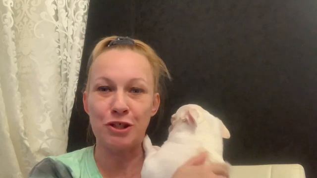 Хочешь насмешить, расскажи о своих планах. смотреть онлайн
