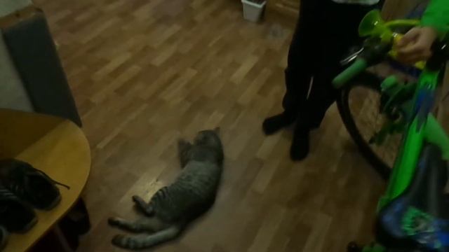 кот танцует нижний брейк., !!музыкальное сопровождение не для слабонервных смотреть онлайн