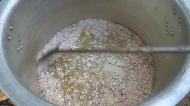Boneless Buffalo Meat Tehari - EID feast - Biriyani Style Polao Rice Meat Tehari Cooking in Village смотреть онлайн