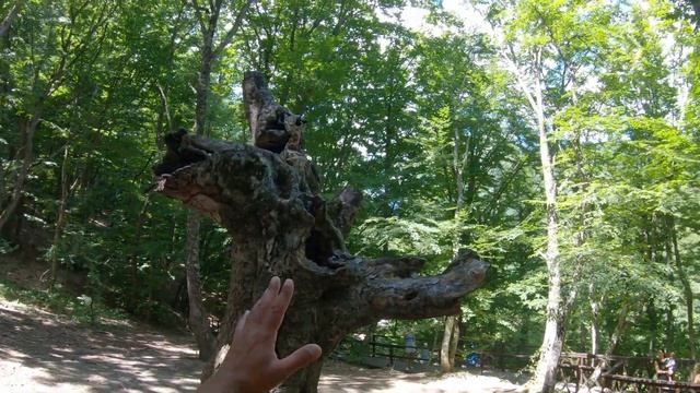 Алушта 2022 Самый полноводный водопад в Крыму, который не пересыхает Генеральское, водопад Джур Джу смотреть онлайн