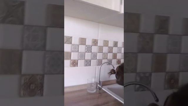 Челлендж,съесть острый перец !!! смотреть онлайн