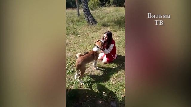 Вязьма Приют для животных Дом Добра смотреть онлайн