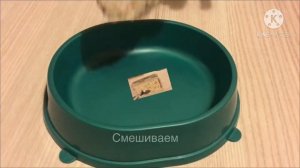 Чем кормить маленького шотландского котенка