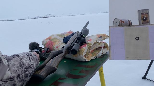 CZ 455 evolution 22lr быстрая пристрелка? смотреть онлайн