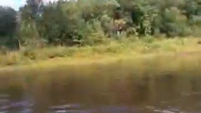 Вильва 2015 смотреть онлайн