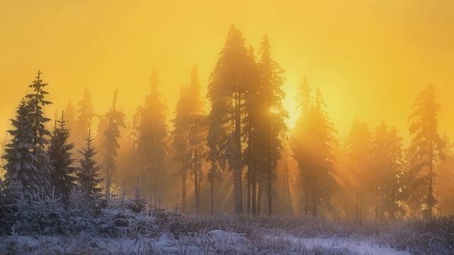 10 декабря-РОМАНОВ ДЕНЬ.Народные приметы. смотреть онлайн