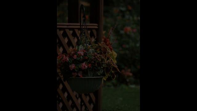 Дачные дела бывают разные... смотреть онлайн