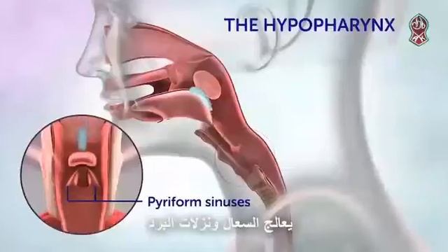 золотое молоко смотреть онлайн