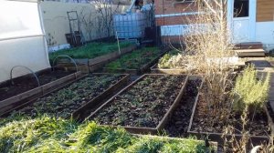 Что такое 4 сотки в снт?Как разместить дом,сад и огород,несостоявшуюся баню и курятник.