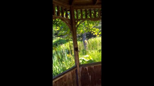 9 Путешествие вдоль реки Святого Лаврентия (Квебек-Канада) смотреть онлайн