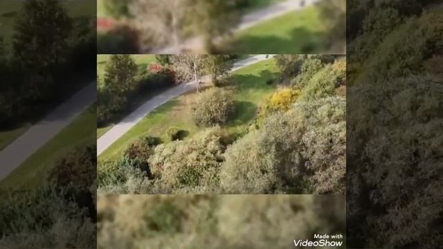 Засентябрило #стихи #читаетавтор #поэзия #лирика #автроскиестихи #видеостихи #сентябрь смотреть онлайн