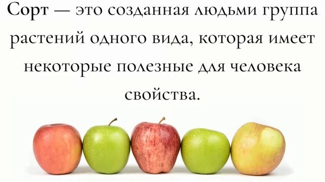 Систематика растений, её значение для ботаники смотреть онлайн