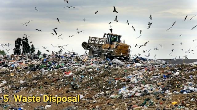 10 Major Current Environmental Problems смотреть онлайн