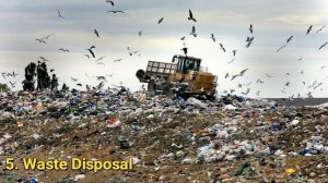 10 Major Current Environmental Problems