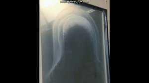 Лик Богородицы в госпитале в Красногорске Подмосковье