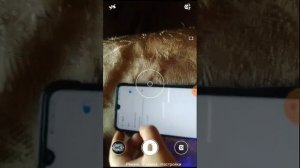 Как подключиться к камере квадрокоптера