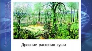 Биология 7 кл Пасечник $12 Высшие споровые растения