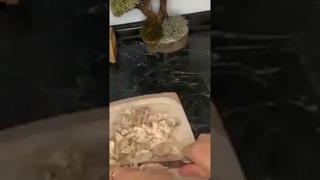 Мой самый любимый грибной суп ?/ My Most Favorite Mushroom Soup ?