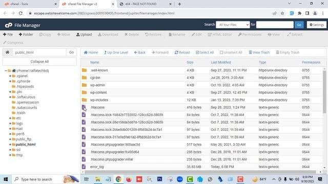 How to solve ERROR 404 PAGE NOT FOUND in wordpress. смотреть онлайн