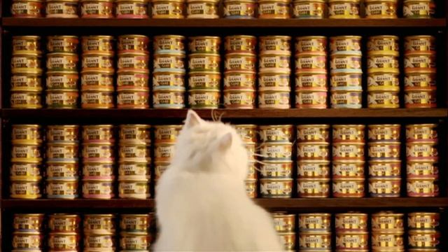Purina Gourmet   Decisions