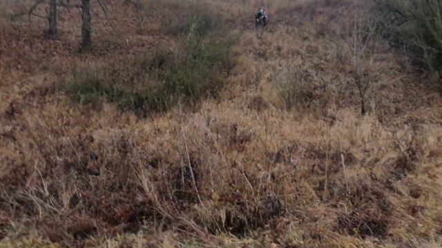 ЭНДУРО ПРОХВАТ KOVI MAX 300..GEON DAKAR GNX 250 #343 смотреть онлайн