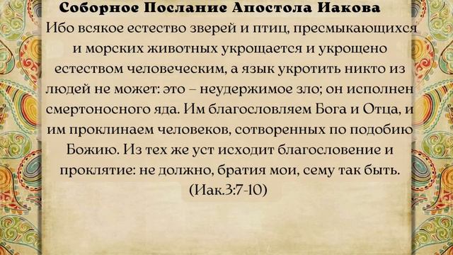 Евангелие дня 9 января 2024 с толкованием. Апостол дня. Жития Святых. смотреть онлайн