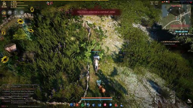 Black Desert Basic Alchemy Leveling guide ( EU Server) смотреть онлайн