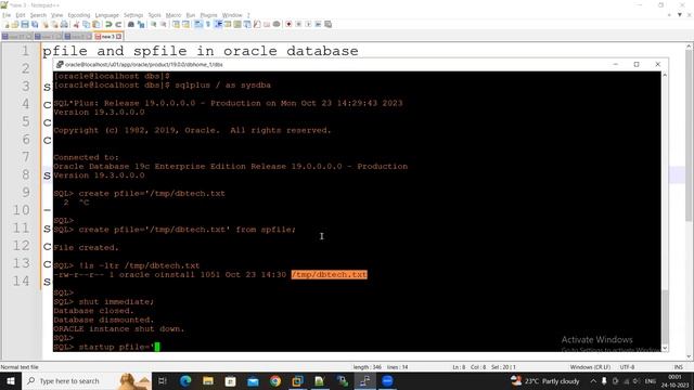 pfile spfile in oracle database смотреть онлайн
