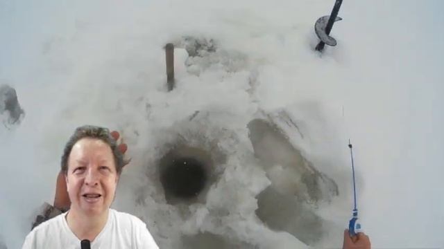 На лыжах на рыбалку и сбор шиповника.Первый выход на лыжах в 2021 году. смотреть онлайн