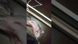 как правильно пользоваться вакуматором. и какой я оказуется бестолочь???