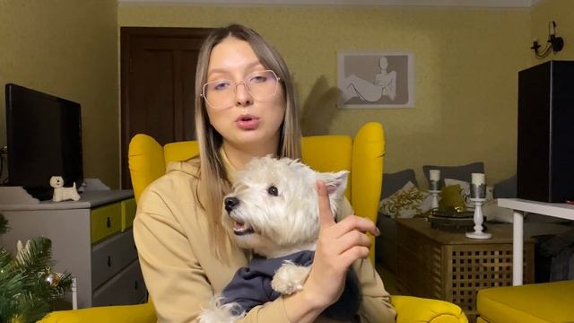 МИНУСЫ ПОРОДЫ ВЕСТ ХАЙЛЕНД УАЙТ ТЕРЬЕР // ОСОБЕННОСТИ ПОРОДЫ смотреть онлайн