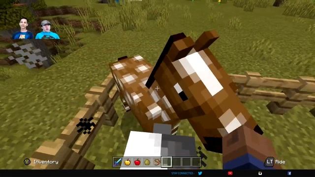 How To BREED HORSES In Minecraft (Step-By-Step) смотреть онлайн